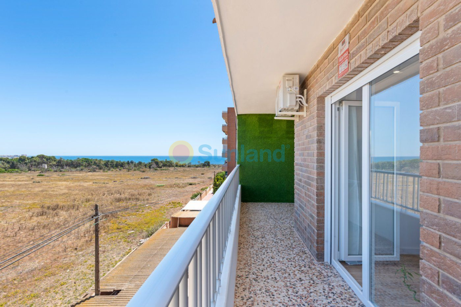 Segunda mano - Apartamento - Torrevieja - Rocio Del Mar
