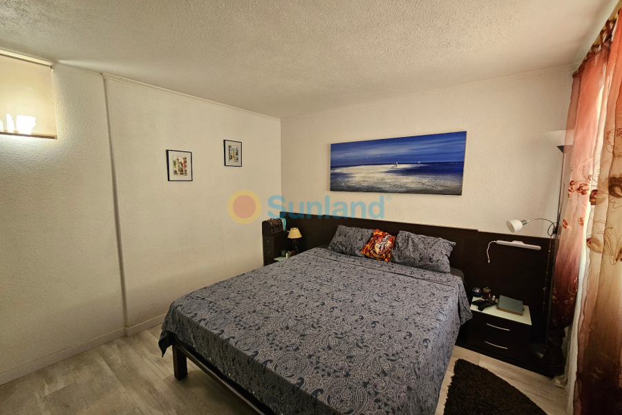 Använda fastigheter - Villa - Los Altos - Royal Park