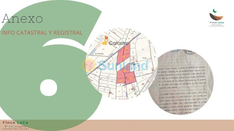 Resale - Finca - Callosa De Segura