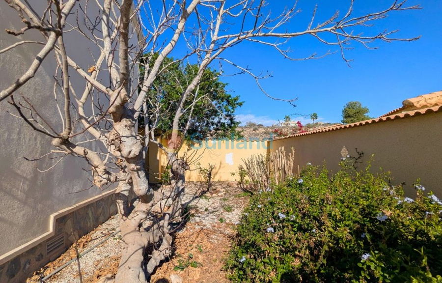 Resale - Detached Villa - Ciudad Quesada