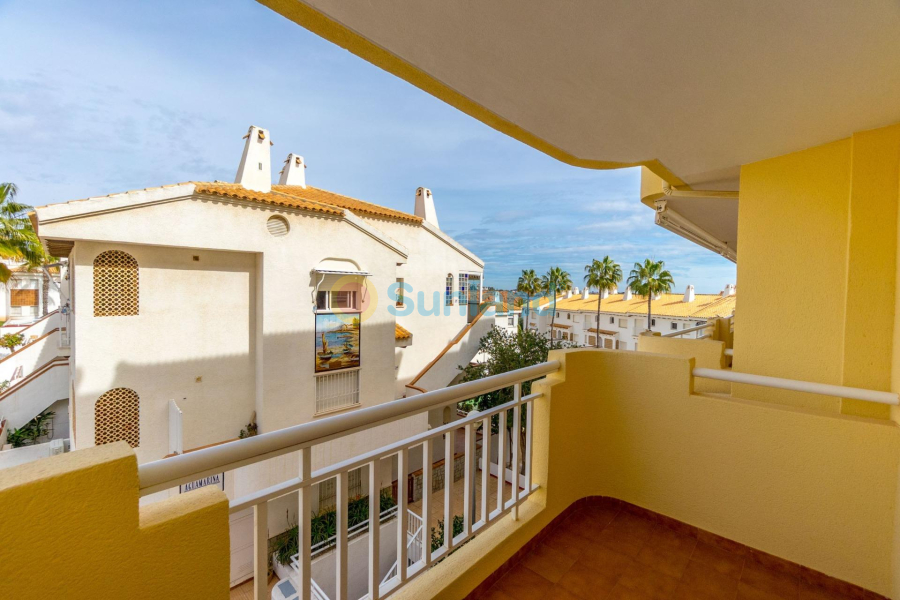 Segunda mano - Apartamento - Orihuela Costa - Campoamor