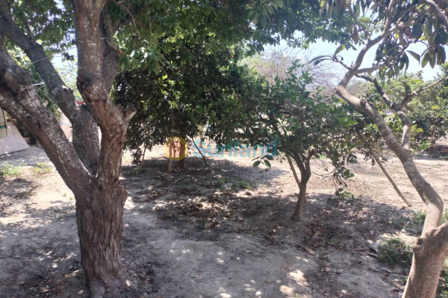 Resale - Country house - Rojales - 