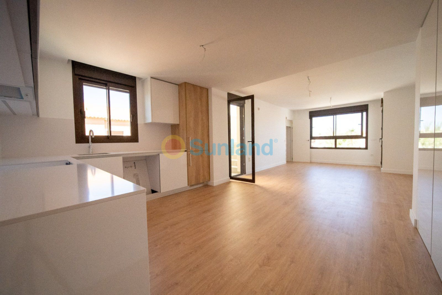 Segunda mano - Ático - Orihuela Costa - PAU 8