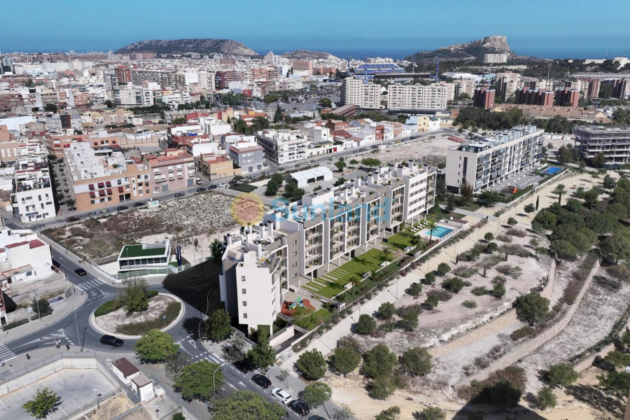 Nueva construcción  - Ático - ALICANTE - San Agustín-PAU 2