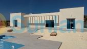 New Build - Villa - Pinoso - Camino Del Prado