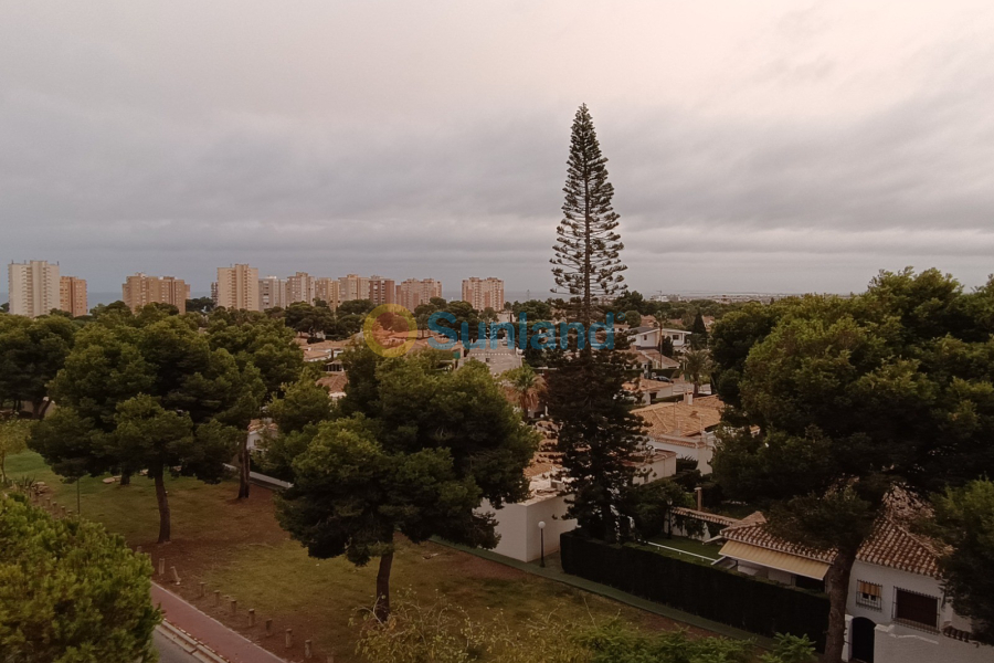 Segunda mano - Apartamento - Orihuela Costa - Dehesa De Campoamor