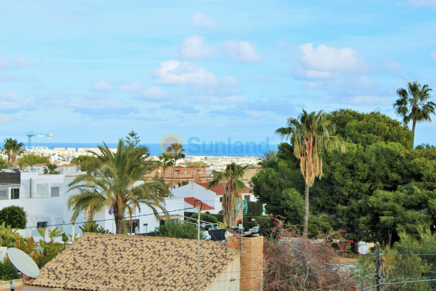 Använda fastigheter - Villa - Cabo Roig