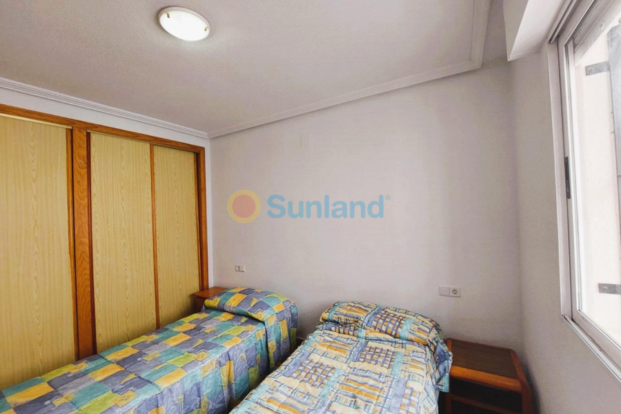 Segunda mano - C - Torrevieja - Los Altos