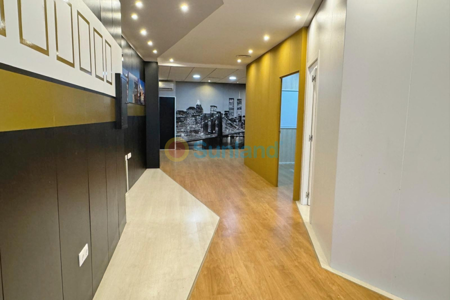 Använda fastigheter - Commercial space - Guardamar del Segura