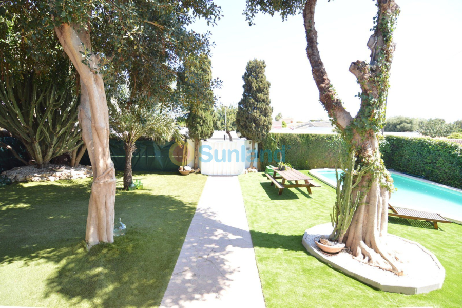 Segunda mano - Chalet - Torrevieja - Torreta - florida