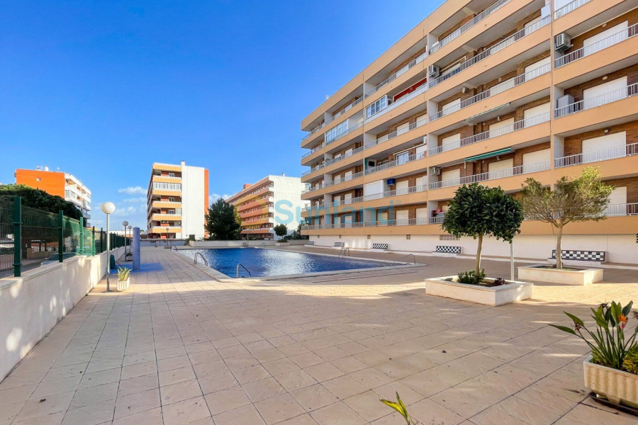 Segunda mano - Apartamento - Torrevieja - Rocio Del Mar