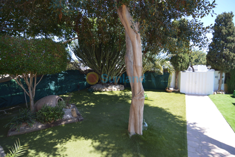 Brukte eiendommer - V - Torrevieja