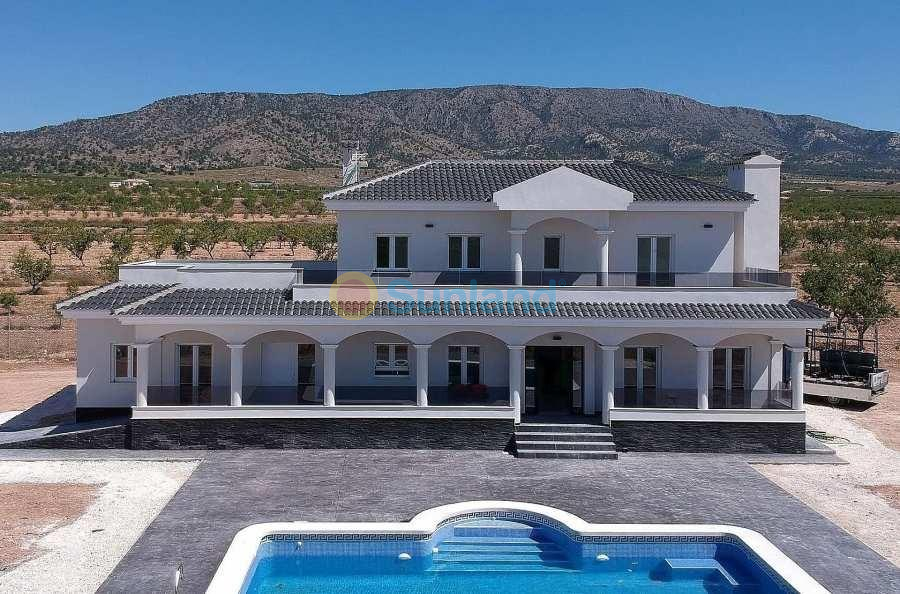 Ny bygg - Villa - Pinoso - Camino Del Prado