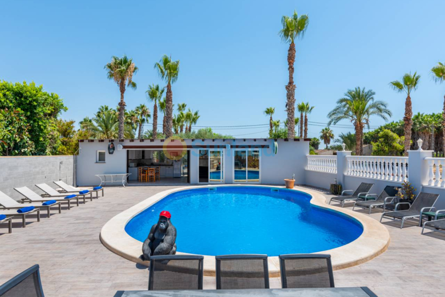 Brukte eiendommer - Country house - Catral