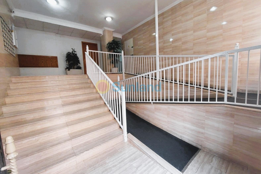 Segunda mano - A - Torrevieja - Centro