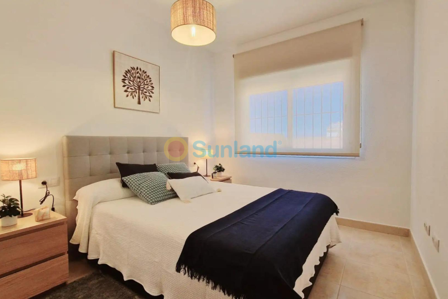 Ny bygg - Villa - Lorca - Purias