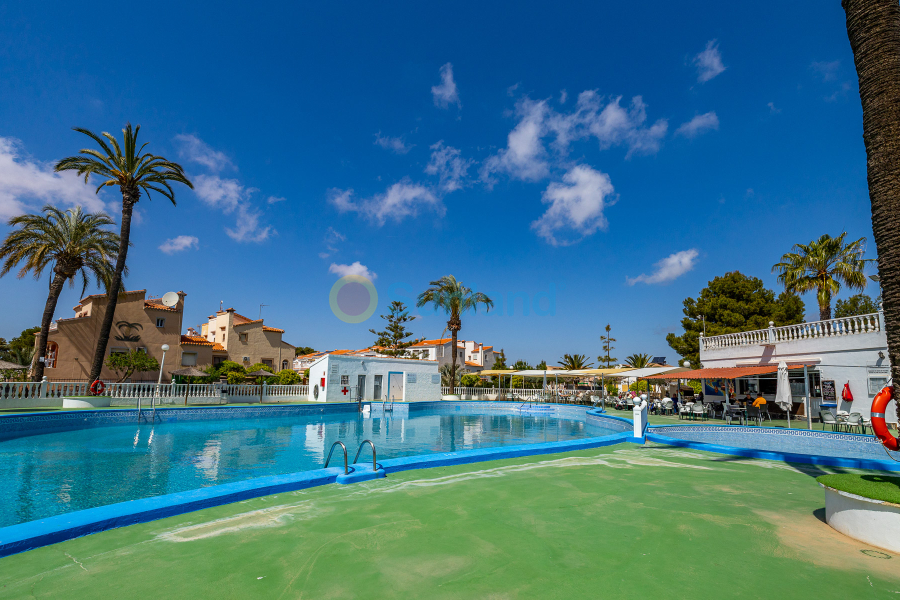 Segunda mano - Casa de Pueblo - Torrevieja - Torreta - florida