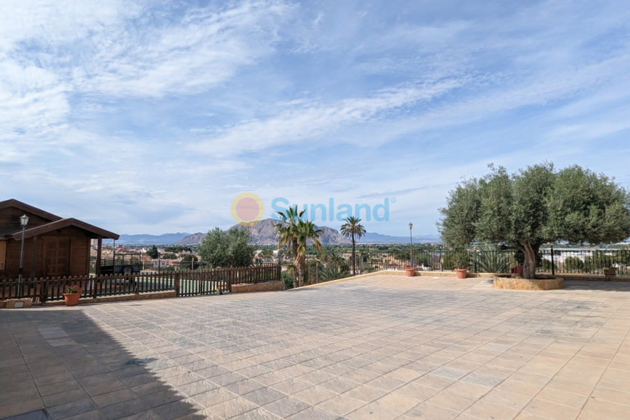 Segunda mano - Detached Villa - Bigastro