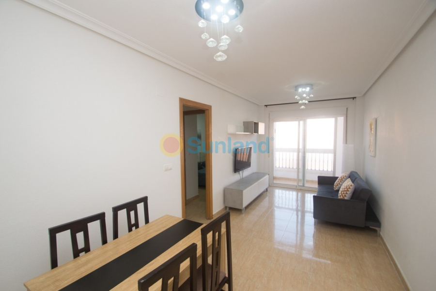 Segunda mano - Apartamento - Orihuela - San Isidro