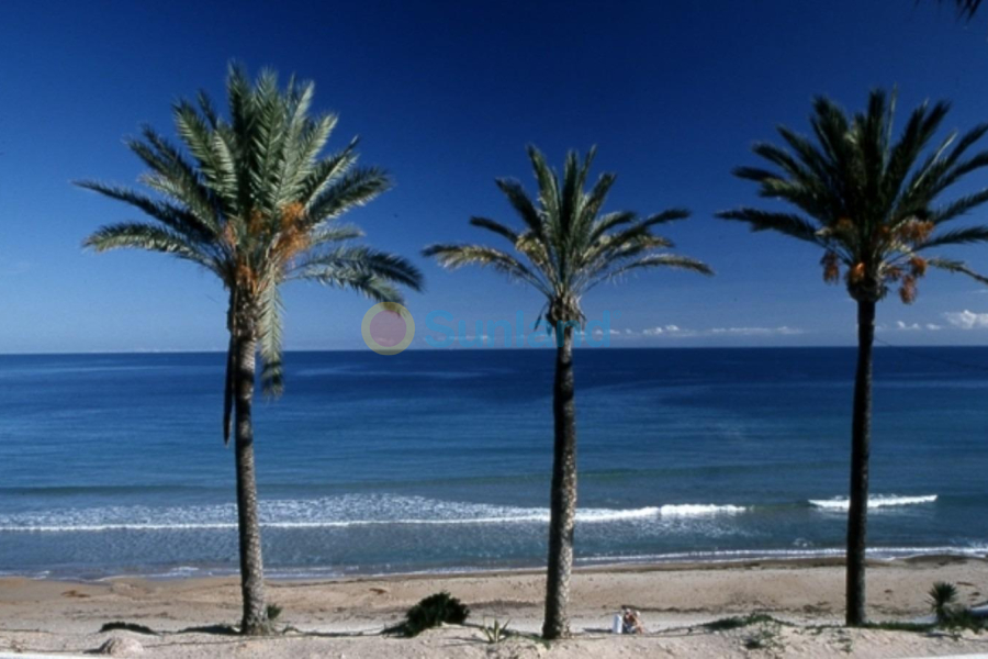 New Build - Top Floor Bungalow - Orihuela costa - Parque Ramon eugenio Escudero