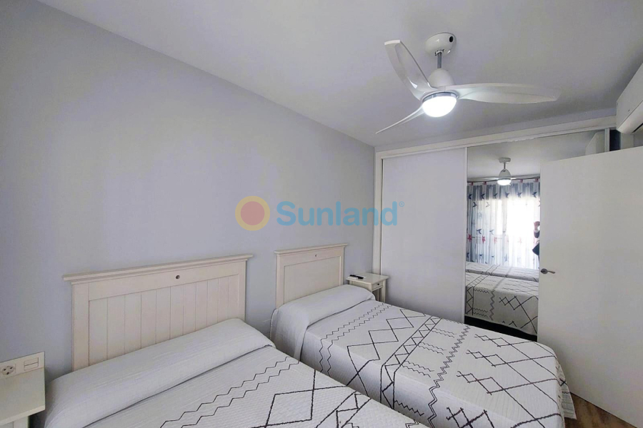 Segunda mano - T - Pilar de la Horadada - Torre de la Horadada