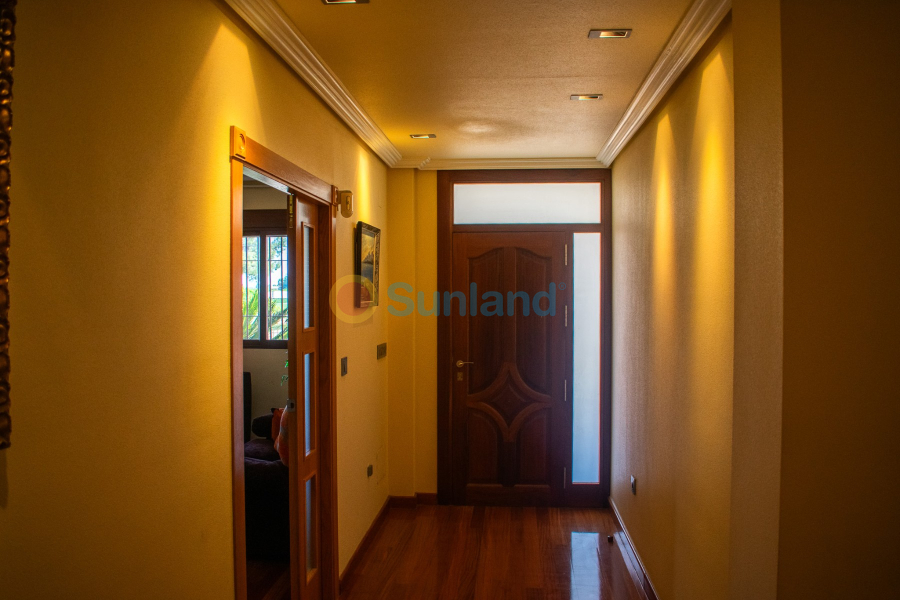 Segunda mano - Chalet - Orihuela - El raal