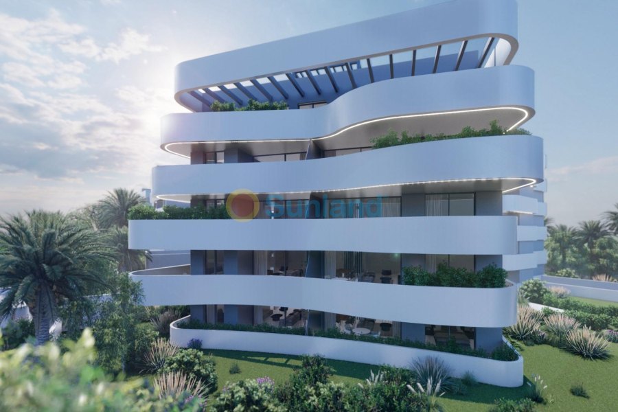 New Build - Apartment - Guardamar del Segura - El Raso