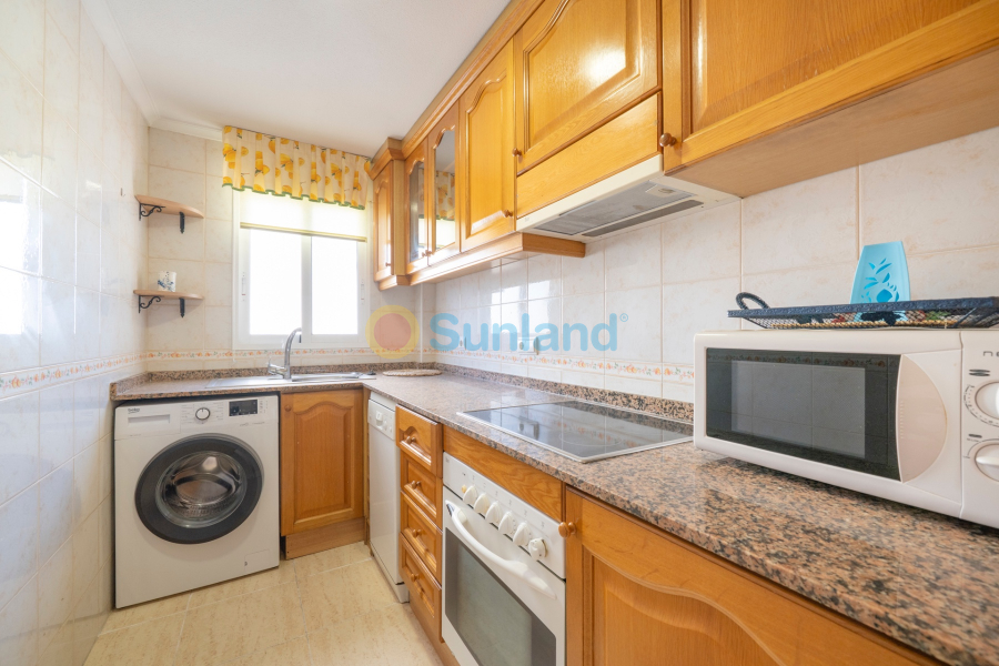 Segunda mano - Apartamento - Guardamar del Segura - Pueblo