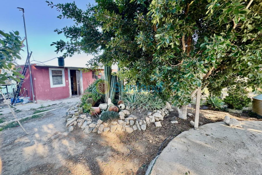 Resale - Country house - Guardamar del Segura - 