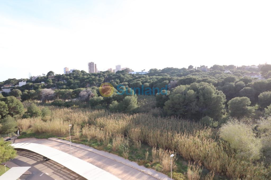 Segunda mano - A - Orihuela Costa - Campoamor