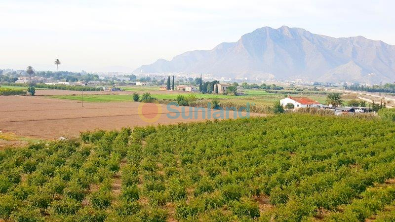 Resale - Finca - Callosa De Segura