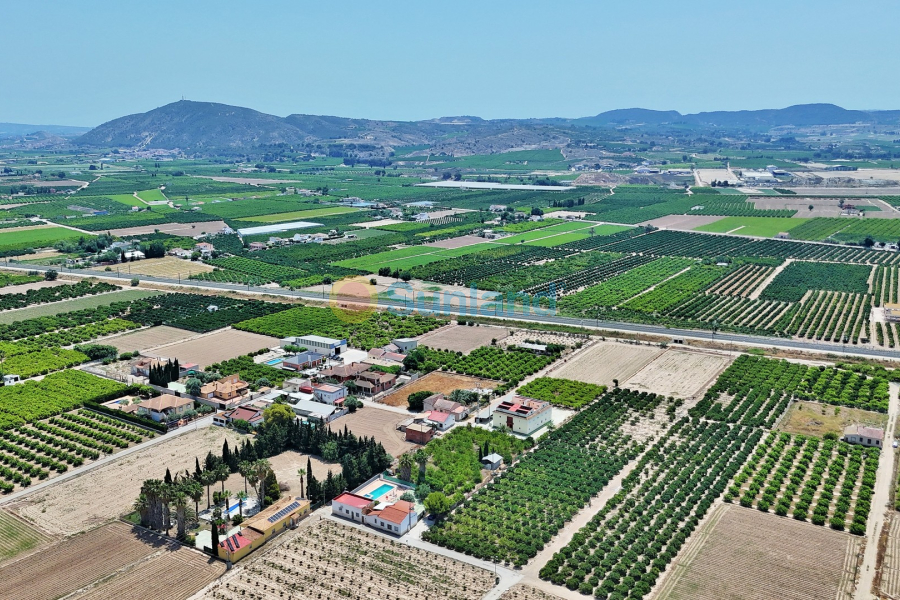 Resale - Villa - Orihuela - 