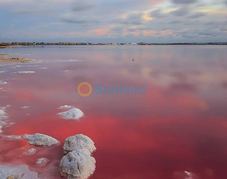 Nueva construcción  - Semidetached - Torrevieja - Lago Jardín II