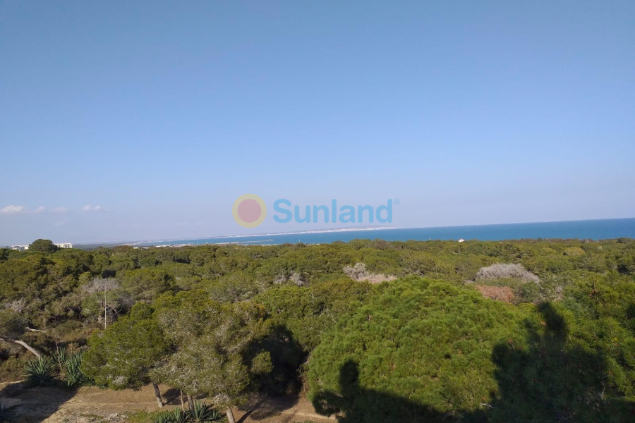 New Build - Apartment - Guardamar del Segura - Pueblo