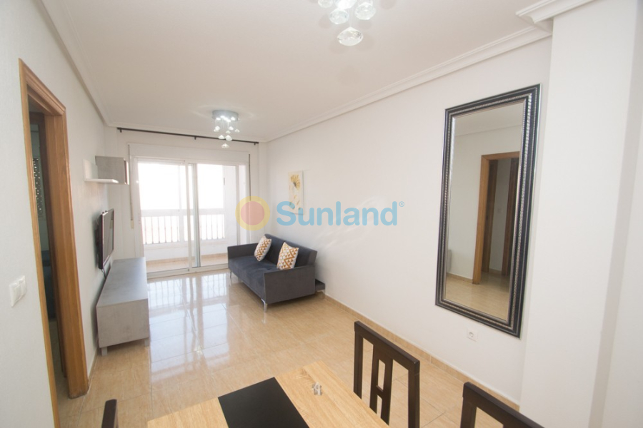 Segunda mano - Apartamento - Orihuela - San Isidro