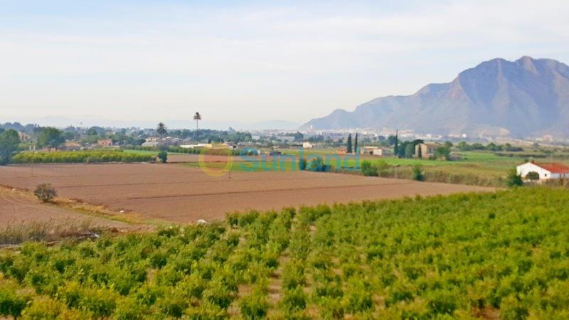 Resale - Finca - Callosa De Segura