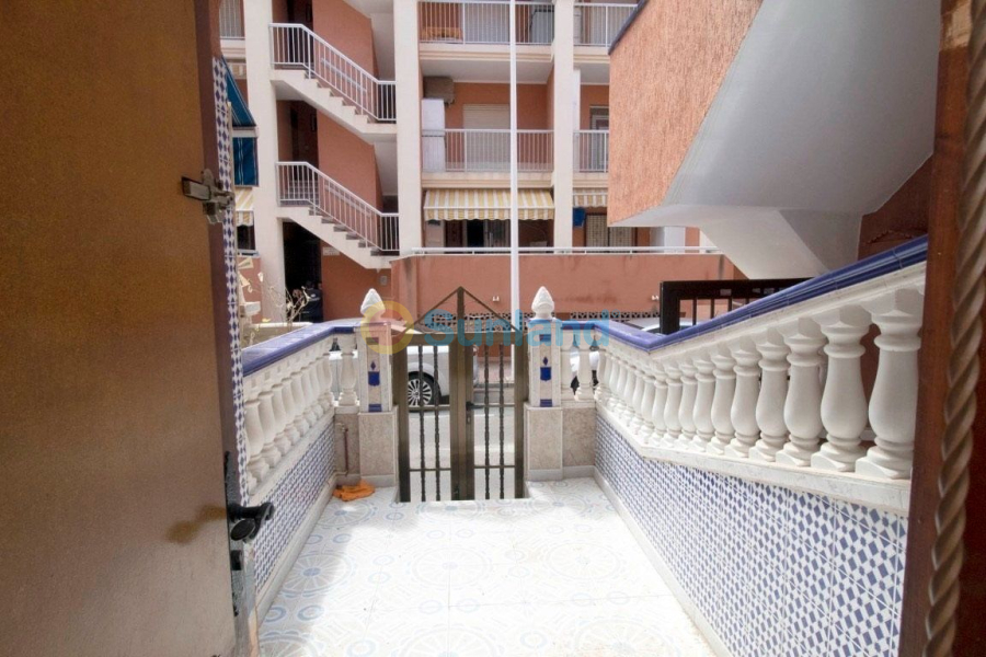 Använda fastigheter - Apartamento - Torrevieja - La Mata