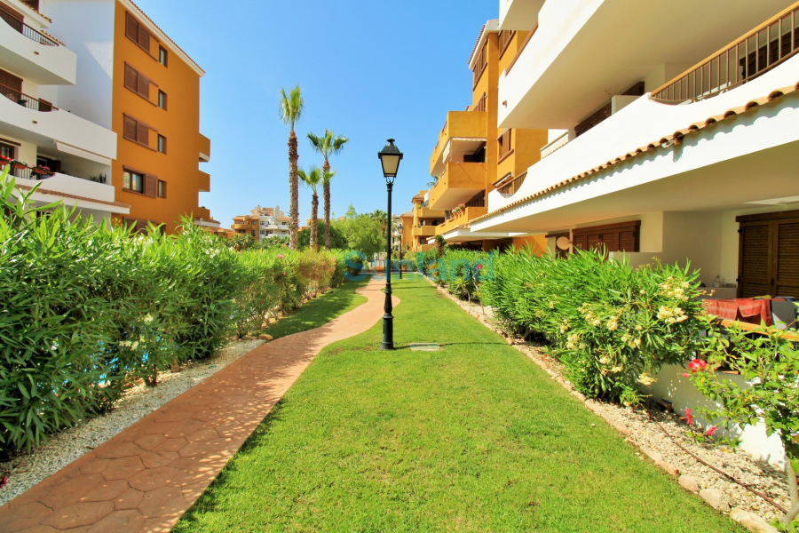 Resale - Apartment - Punta Prima - 