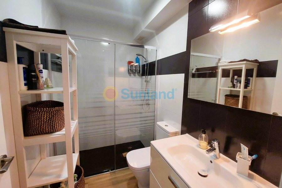 Segunda mano - T - Pilar de la Horadada - Torre de la Horadada