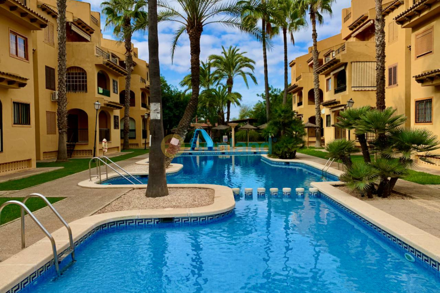 Segunda mano - Apartamento - La Mata