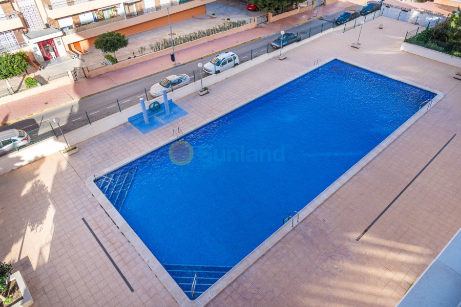 Segunda mano - Apartamento - Torrevieja - Rocio Del Mar