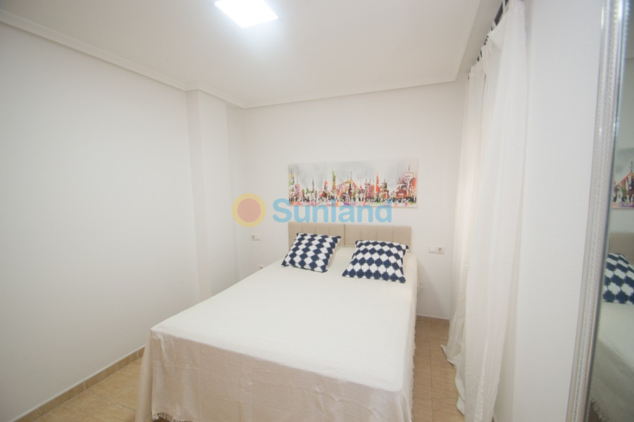 Segunda mano - Apartamento - Orihuela - San Isidro