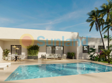 Villa - New Build - Aspe - Poligono 19