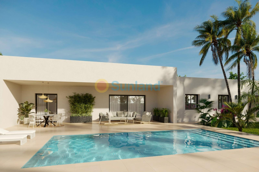 New Build - Villa - Aspe - Poligono 19