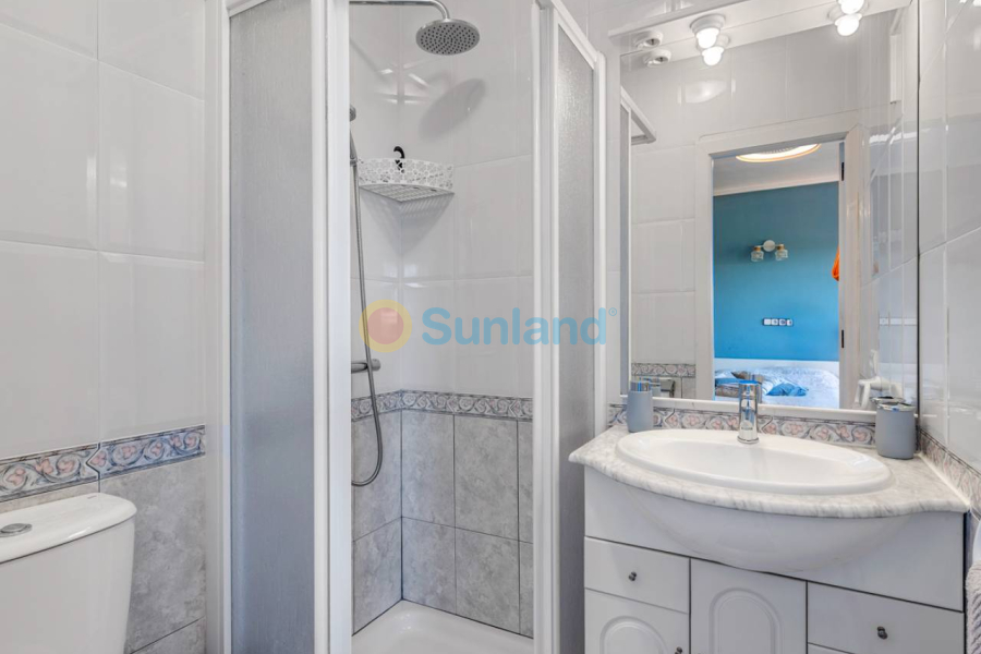 Segunda mano - Country house - Los Montesinos