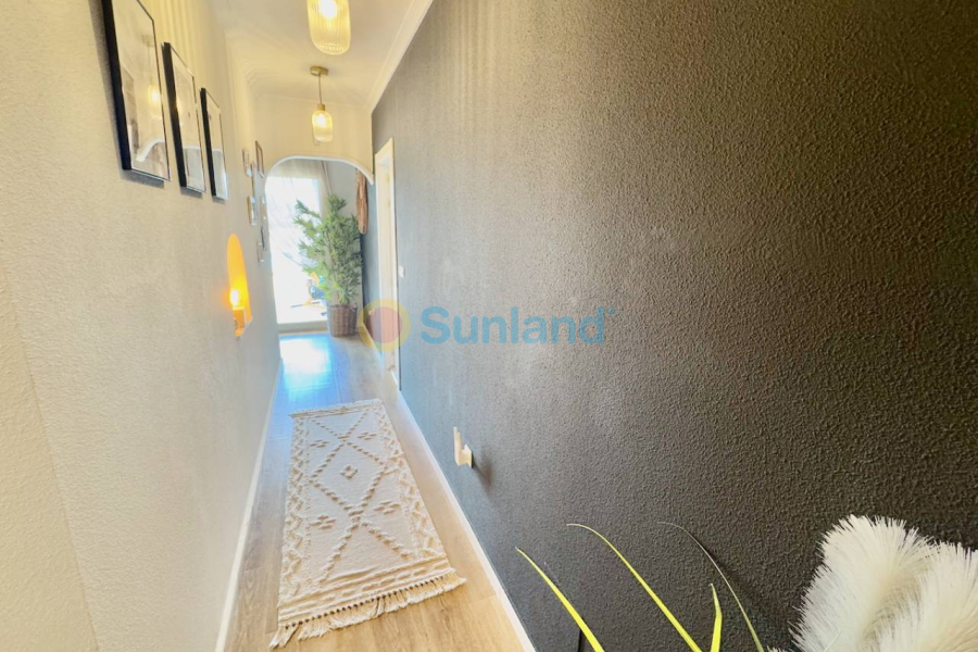 Använda fastigheter - Villa - Rojales