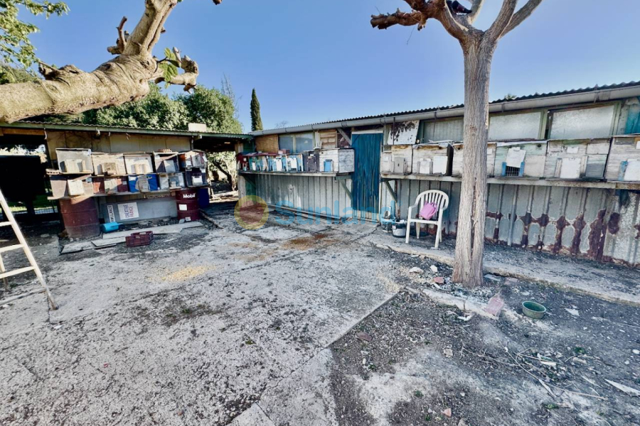 Resale - Country house - Guardamar del Segura - 