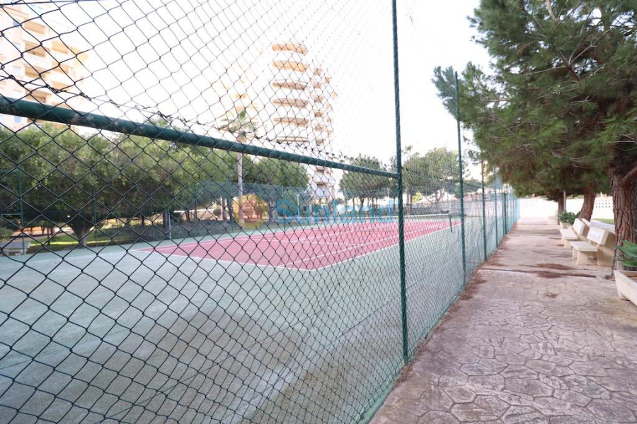 Segunda mano - A - Orihuela Costa - Campoamor