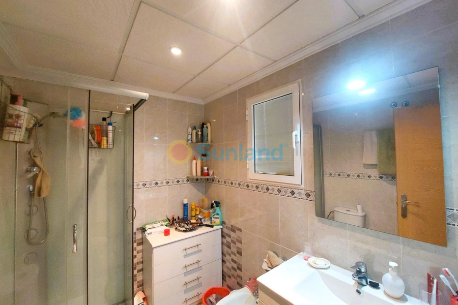 Segunda mano - A - Torrevieja - Centro