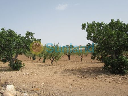 Resale - P - Murcia - 